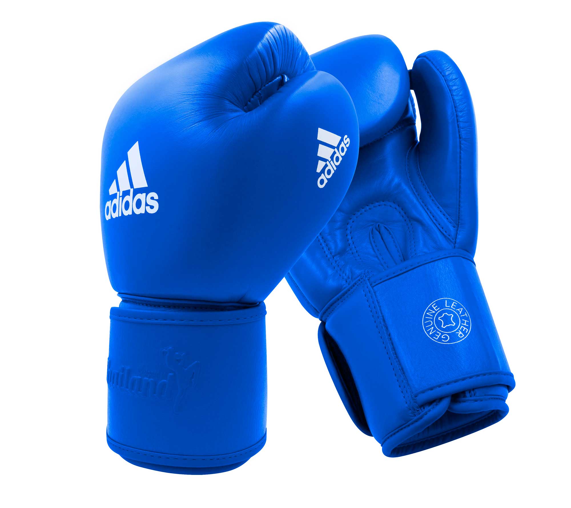 Перчатки боксерские Muay Thai Gloves 200 сине-белые