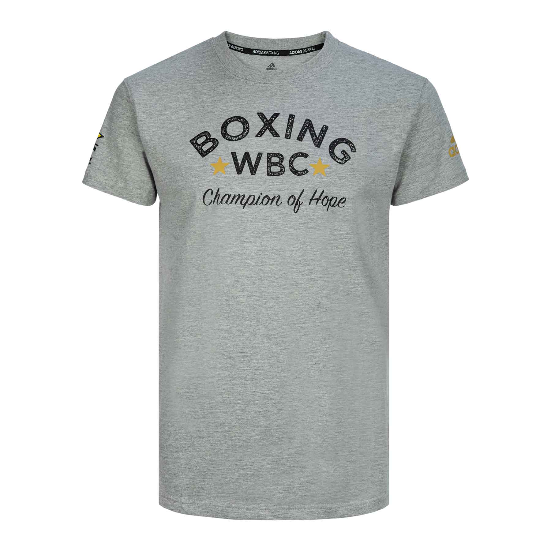 Футболка Boxing Tee WBC Champion Of Hope серая