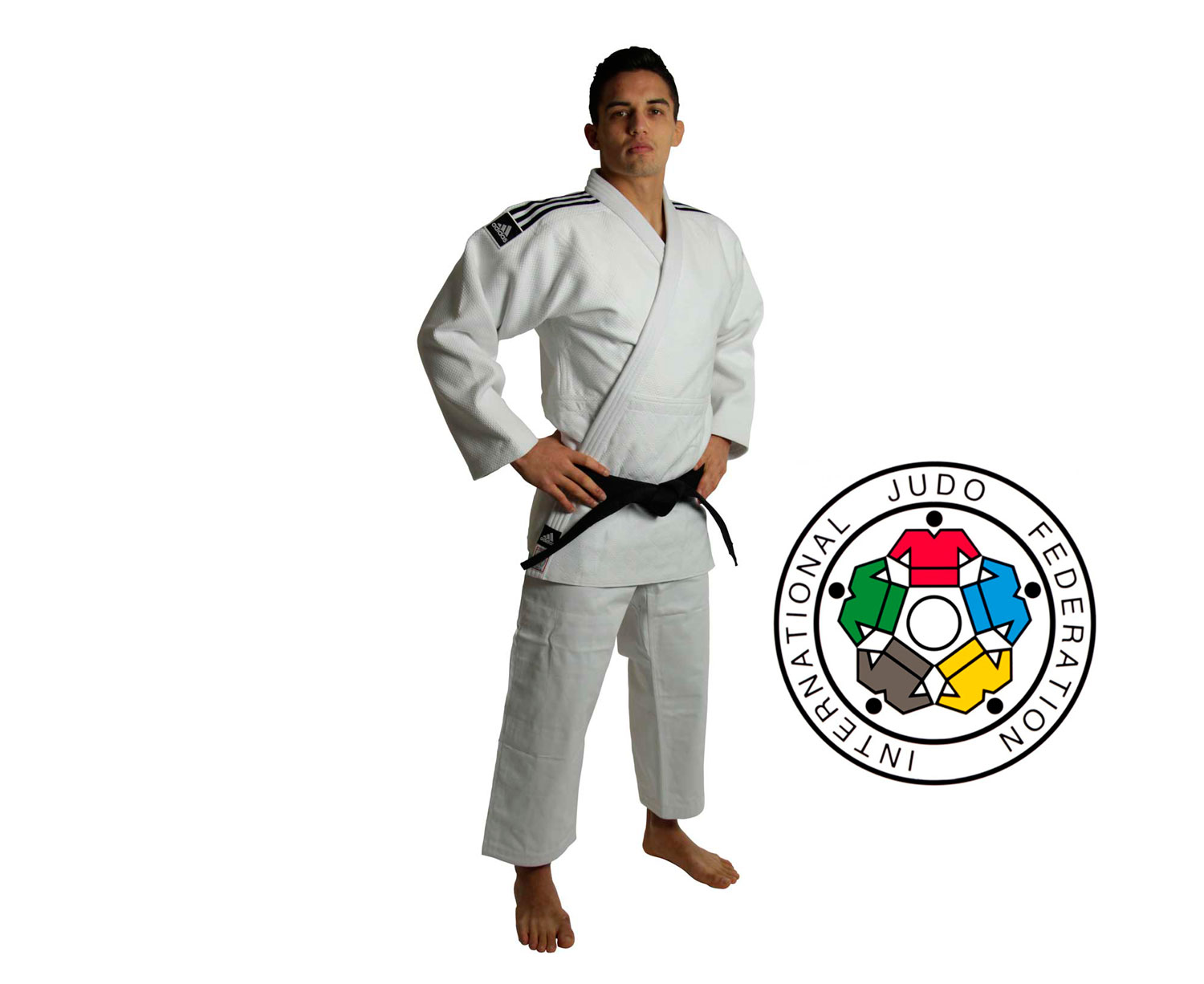 Нашивки на кимоно дзюдо. Adidas Champion 2 кимоно IJF. Нашивка дзюдо. IJF нашивка на кимоно.