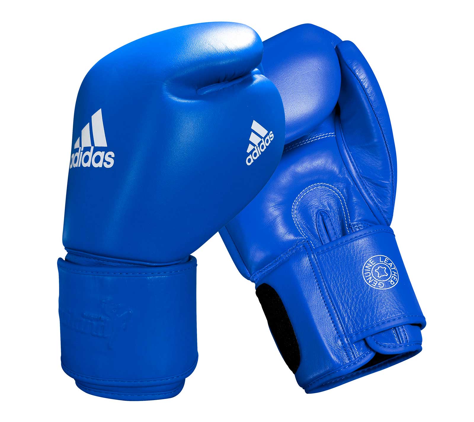 Перчатки боксерские Muay Thai Gloves 300 сине-белые