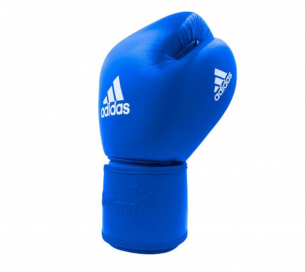 Перчатки боксерские Muay Thai Gloves 200 сине-белые фото 3