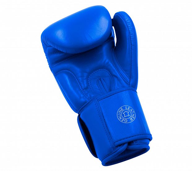 Перчатки боксерские Muay Thai Gloves 200 сине-белые фото 6