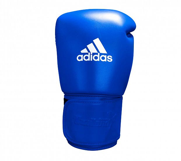 Перчатки боксерские Muay Thai Gloves 300 сине-белые фото 2