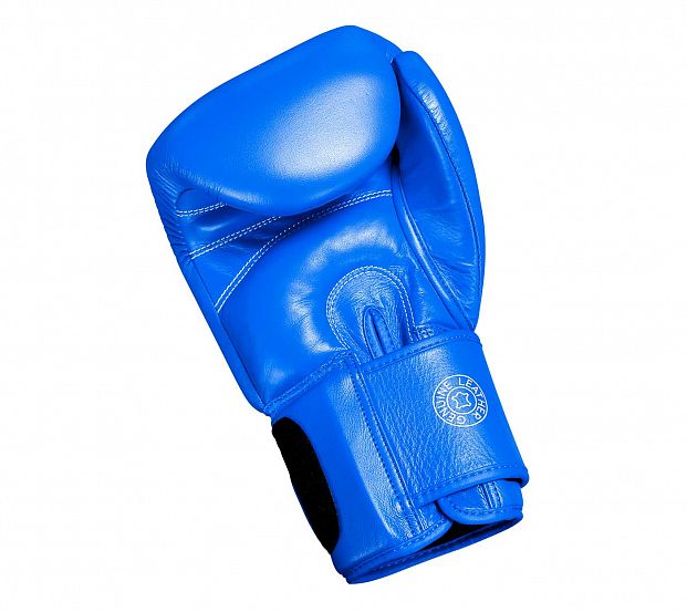 Перчатки боксерские Muay Thai Gloves 300 сине-белые фото 6