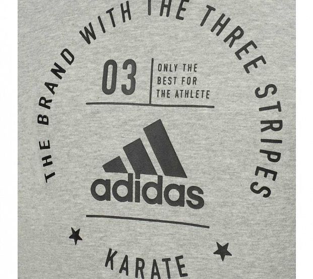 Толстовка с капюшоном (Худи) The Brand With The Three Stripes Karate серо-черная фото 3