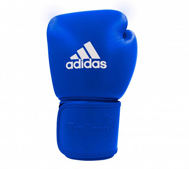 Перчатки боксерские Muay Thai Gloves 200 сине-белые фото 2