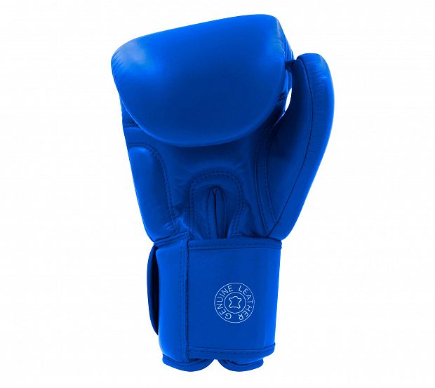 Перчатки боксерские Muay Thai Gloves 200 сине-белые фото 5