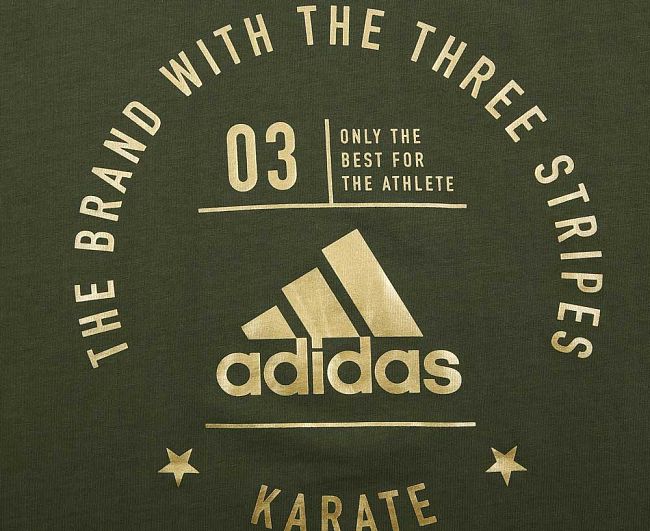 Футболка The Brand With The Three Stripes T-Shirt Karate зелено-золотая фото 2