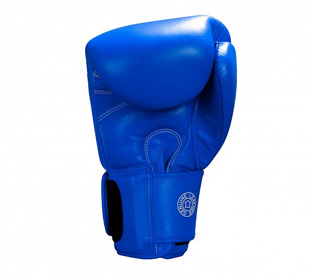 Перчатки боксерские Muay Thai Gloves 300 сине-белые фото 5